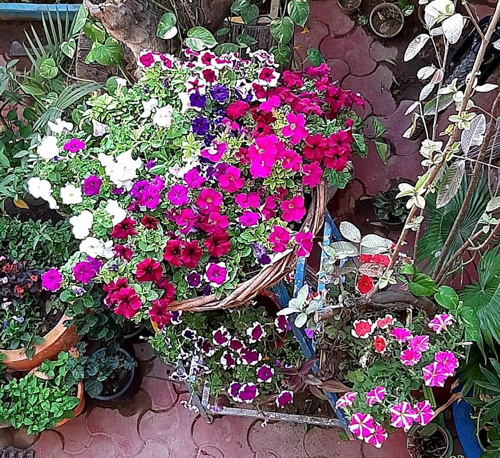The Coral House Homestay By The Taj Agra  Exteriör bild