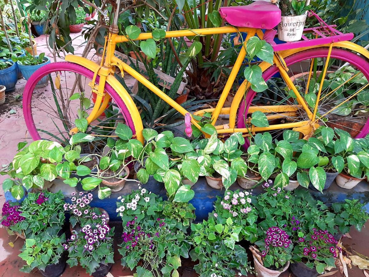 The Coral House Homestay By The Taj Agra  Exteriör bild
