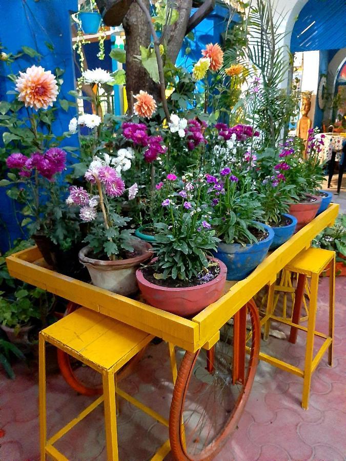 The Coral House Homestay By The Taj Agra  Exteriör bild
