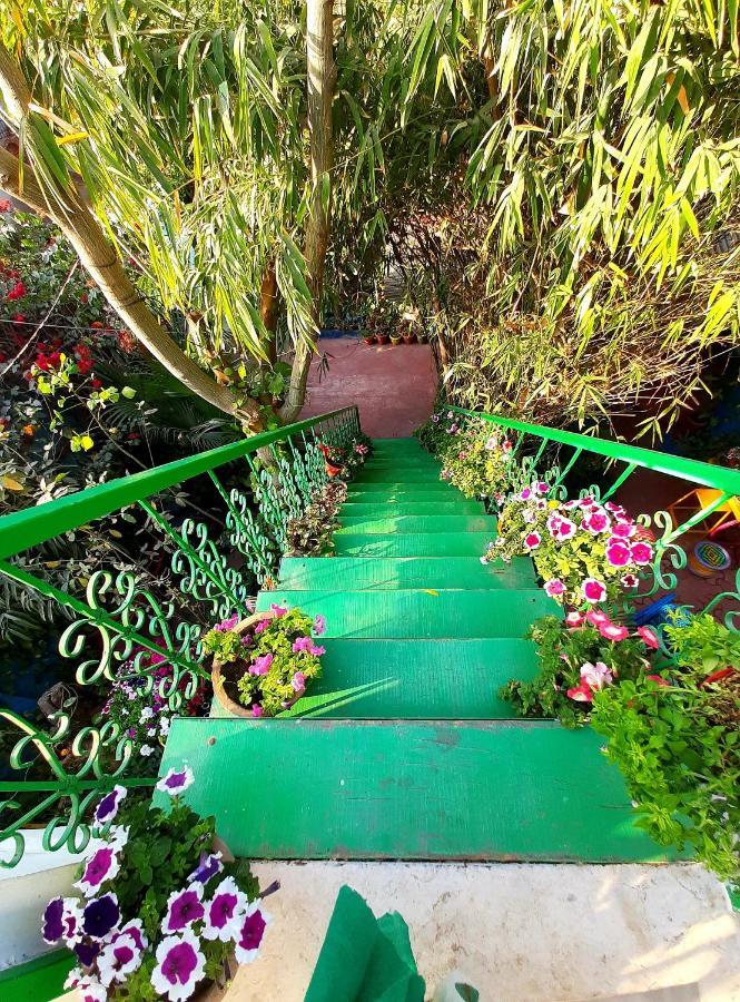 The Coral House Homestay By The Taj Agra  Exteriör bild