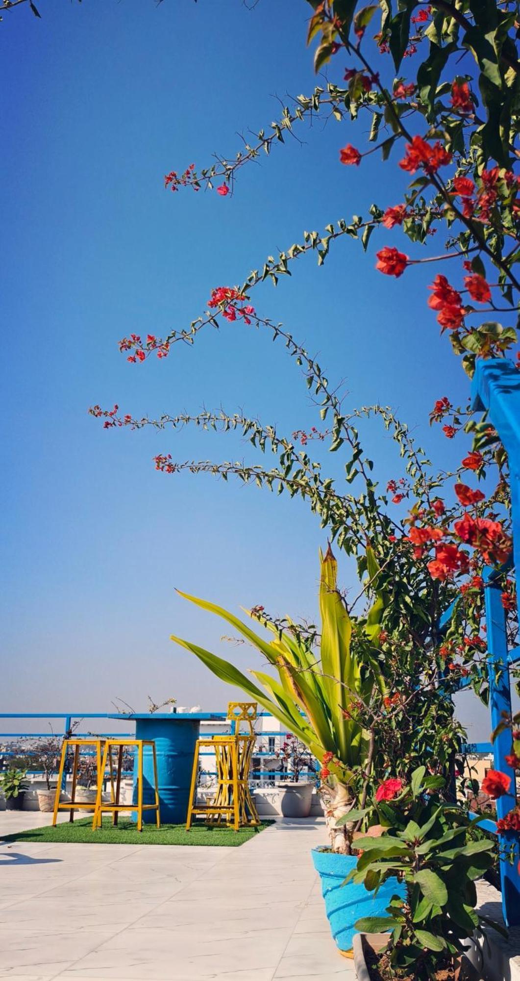 The Coral House Homestay By The Taj Agra  Exteriör bild